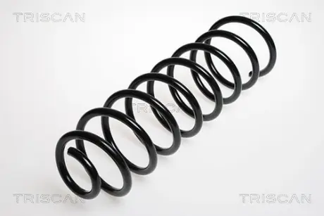 Пружина ходовой части TRISCAN 87506520