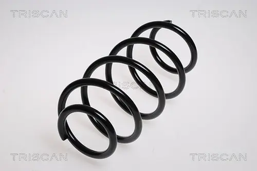 Пружина ходовой части TRISCAN 87506523 (фото 1)