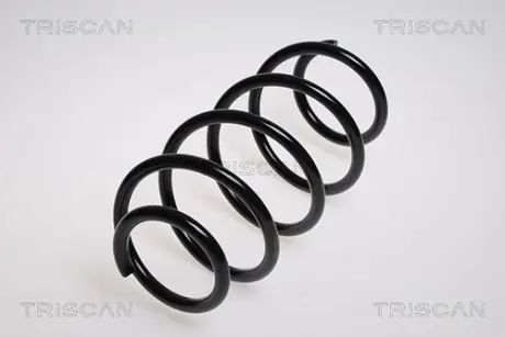 Пружина ходовой части TRISCAN 87506523