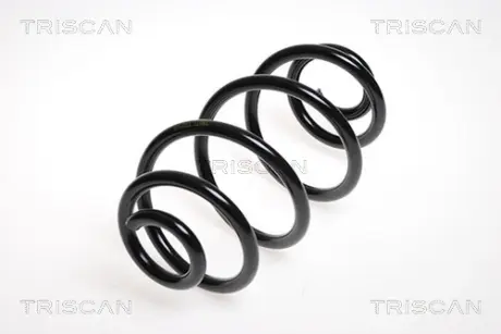 Пружина ходовой части TRISCAN 87506524