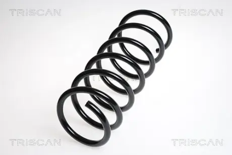 Пружина ходовой части TRISCAN 87506525