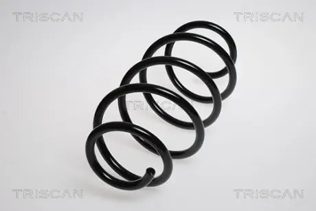 Пружина ходовой части TRISCAN 87506527