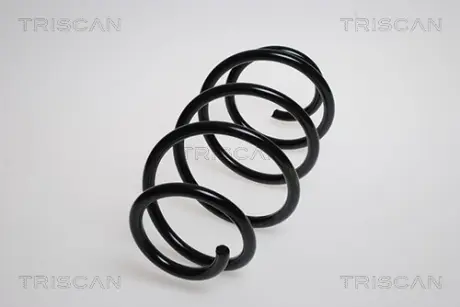 Пружина ходовой части TRISCAN 87506528