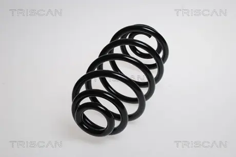 Пружина ходовой части TRISCAN 87506530