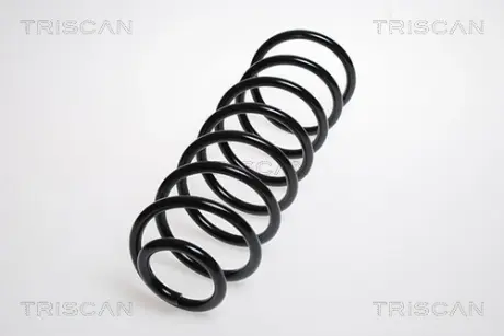 Пружина ходовой части TRISCAN 87506533