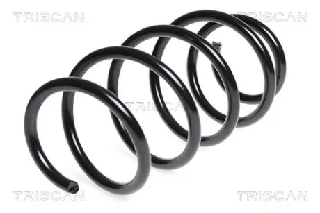Пружина ходовой части TRISCAN 87506544