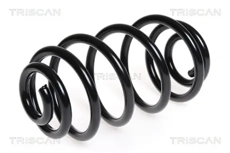 Пружина ходовой части TRISCAN 87506545