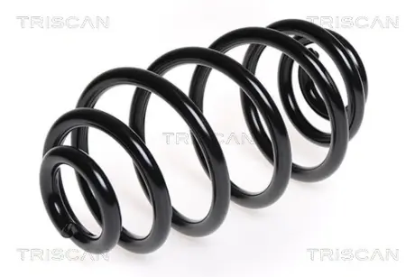 Пружина ходовой части TRISCAN 87506546