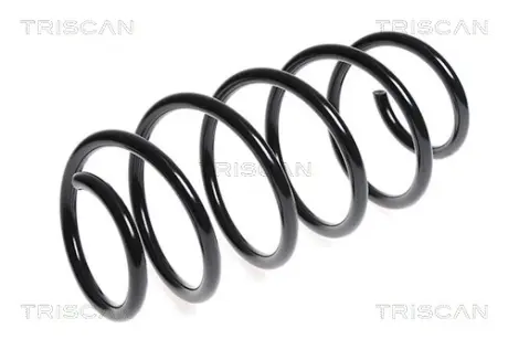Пружина ходовой части TRISCAN 87506547