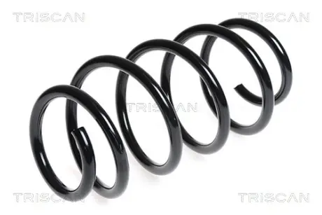 Пружина ходовой части TRISCAN 87506548