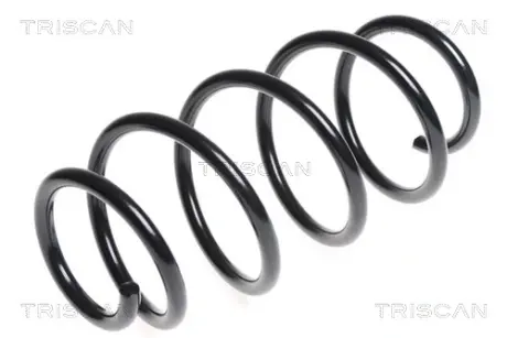 Пружина ходовой части TRISCAN 87506550