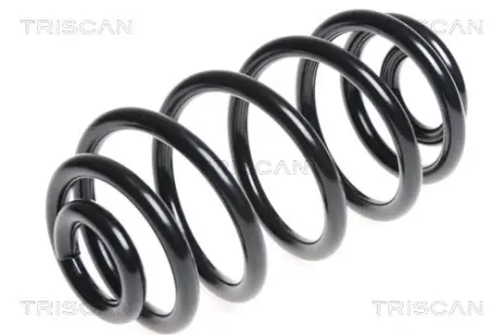 Пружина ходовой части TRISCAN 87506551