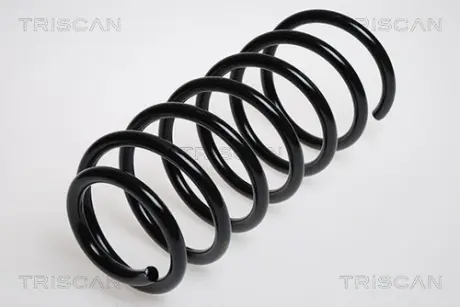 Пружина ходовой части TRISCAN 87506603