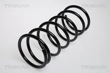 Пружина ходовой части TRISCAN 87506701
