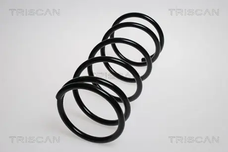 Пружина ходовой части TRISCAN 87506810