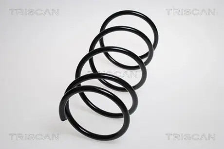 Пружина ходовой части TRISCAN 87506816