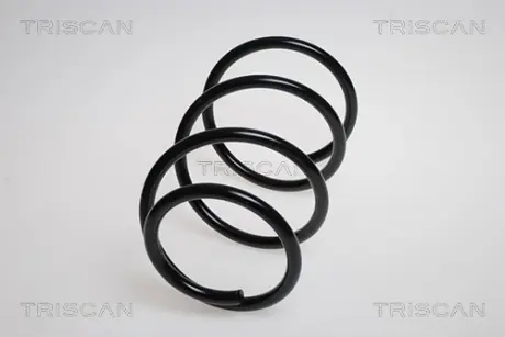 Пружина ходовой части TRISCAN 87506820