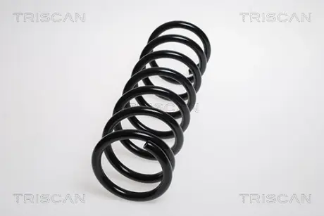 Пружина ходовой части TRISCAN 87506826