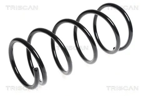 Пружина ходовой части TRISCAN 87506830