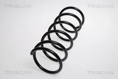 Пружина ходовой части TRISCAN 87506831