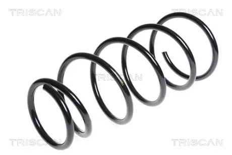 Пружина ходовой части TRISCAN 87506833