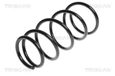 Пружина ходовой части TRISCAN 87506834