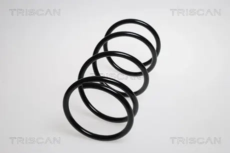 Пружина ходовой части TRISCAN 87506837