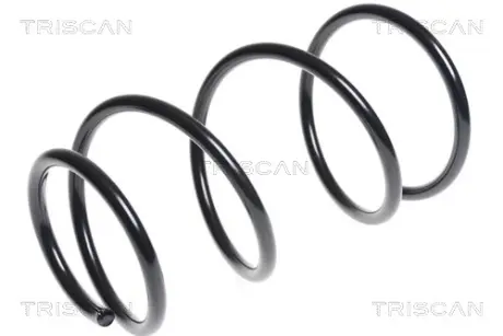 Пружина ходовой части TRISCAN 87506844