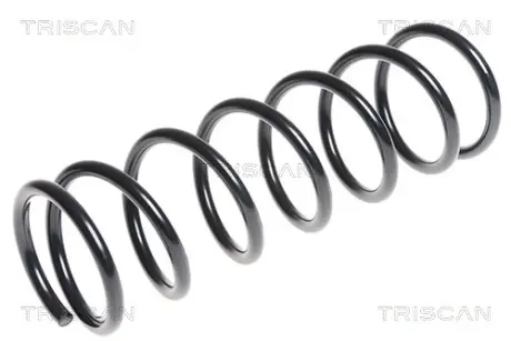 Пружина ходовой части TRISCAN 87506845