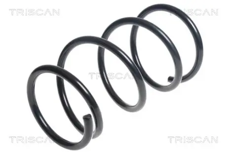 Пружина ходовой части TRISCAN 87506847