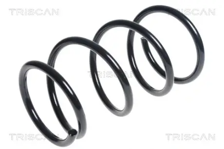 Пружина ходовой части TRISCAN 87506848