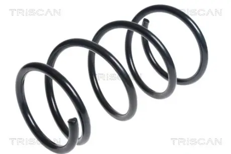 Пружина ходовой части TRISCAN 87506849