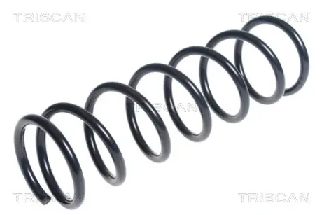 Пружина ходовой части TRISCAN 87506851
