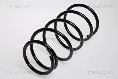 Пружина ходовой части TRISCAN 87506903