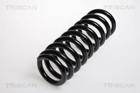Пружина ходовой части TRISCAN 87506910