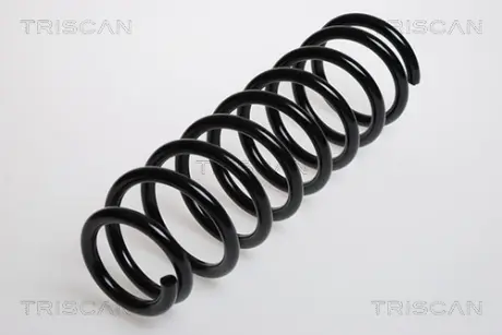 Пружина ходовой части TRISCAN 87506916