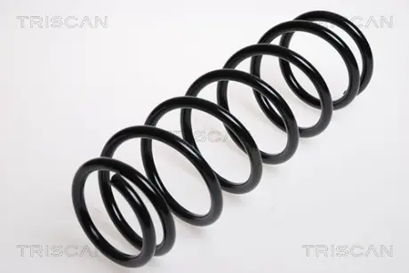 Пружина ходовой части TRISCAN 87506923