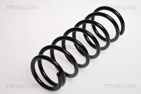 Пружина ходовой части TRISCAN 87506924