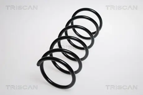 Пружина ходовой части TRISCAN 87506925