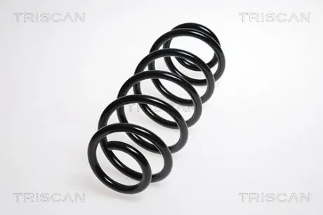 Пружина ходовой части TRISCAN 87506930