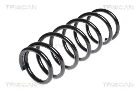 Пружина ходовой части TRISCAN 87506932
