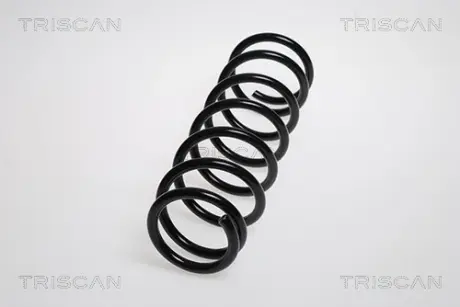 Пружина ходовой части TRISCAN 87506933