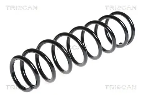 Пружина ходовой части TRISCAN 87506938