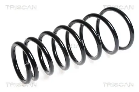 Пружина ходовой части TRISCAN 87506943