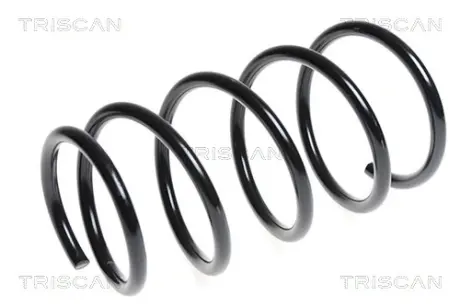 Пружина ходовой части TRISCAN 87506945