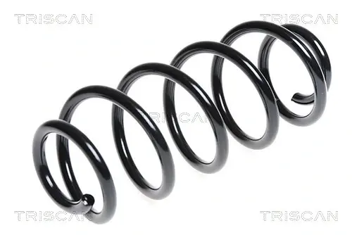 Пружина ходовой части TRISCAN 87506946 (фото 1)