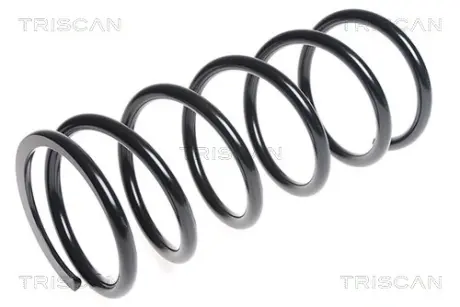 Пружина ходовой части TRISCAN 87506954