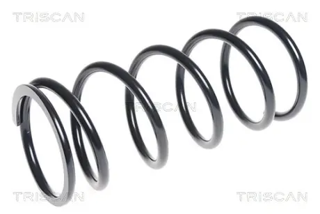 Пружина ходовой части TRISCAN 87506955