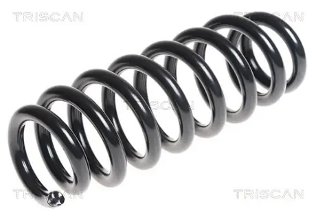 Пружина ходовой части TRISCAN 87506957