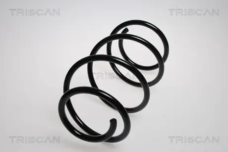 Пружина ходовой части TRISCAN 87508015